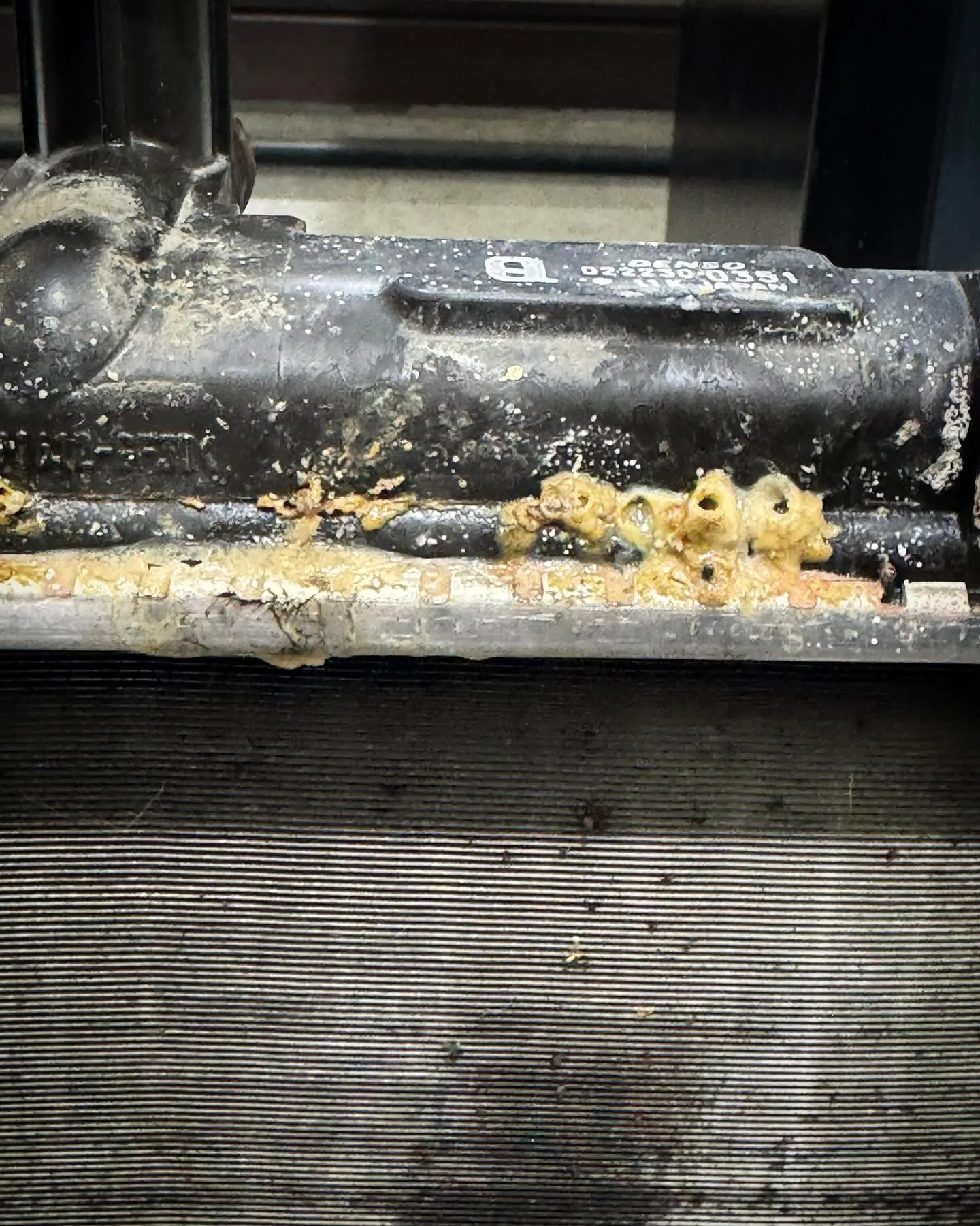 こんにちは☀️IRIE AUTOです🚗